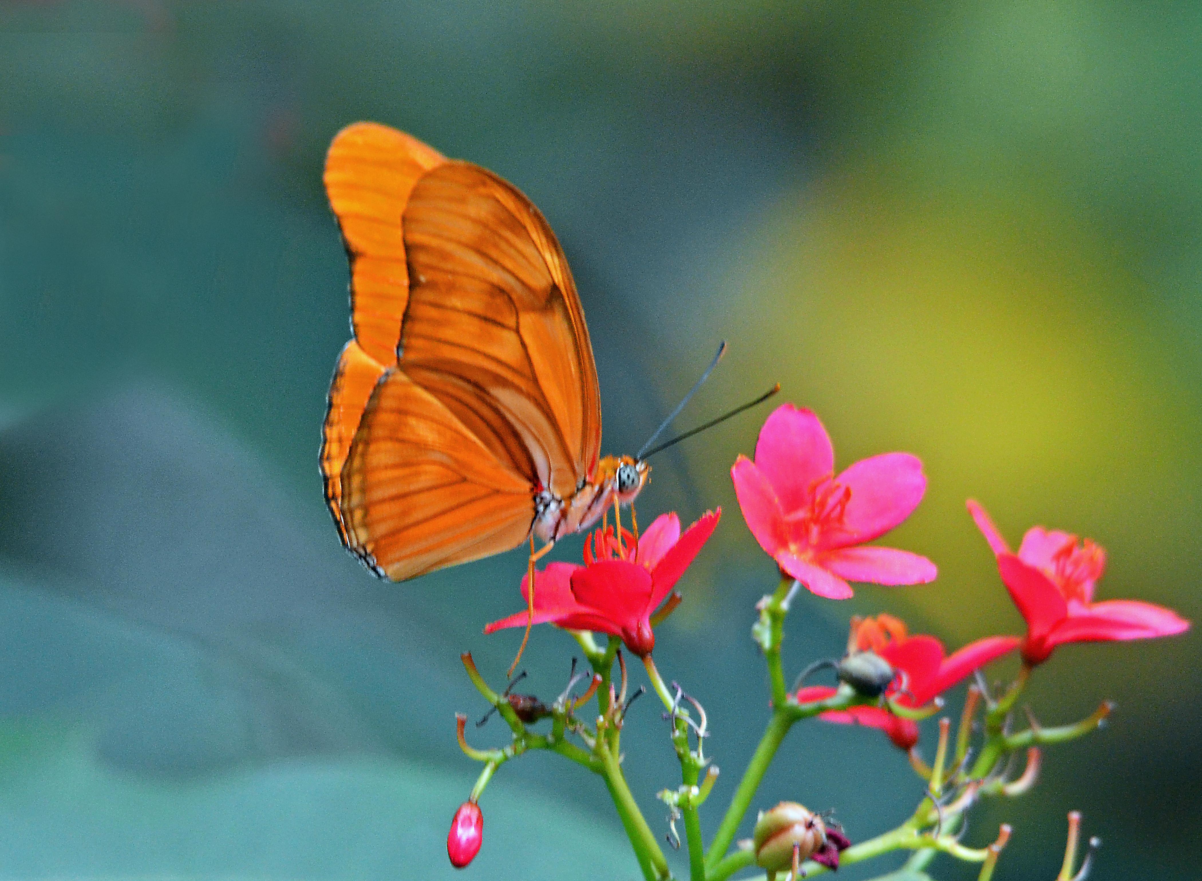 The word of the day is renew…